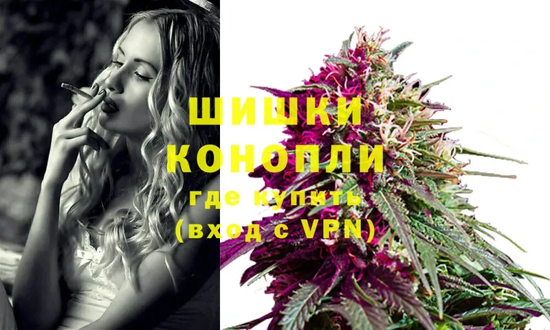 купить наркоту  Бокситогорск  Конопля SATIVA & INDICA 